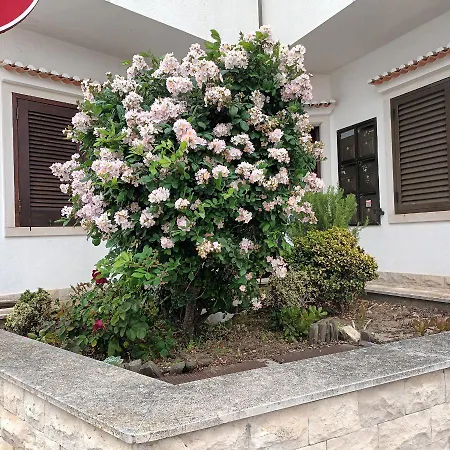 Apartamento A Casa Na Foz ! West Is The ! *