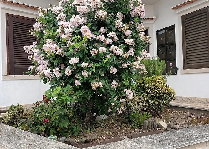 Appartement A Casa Na Foz - West Is The ! *