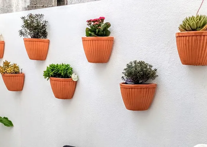 Appartement A Casa Na Foz - West Is The ! Foz do Arelho